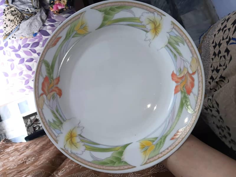 Dining Plates. Large size 1