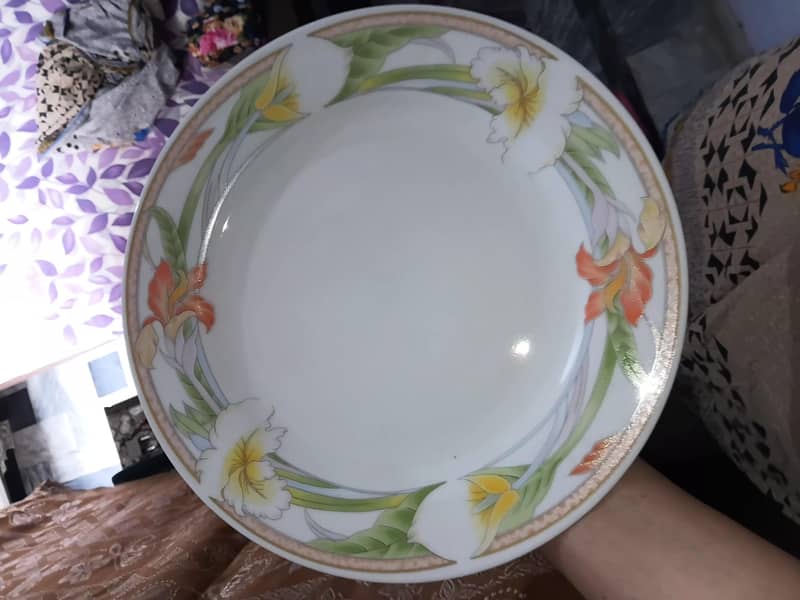Dining Plates. Large size 2