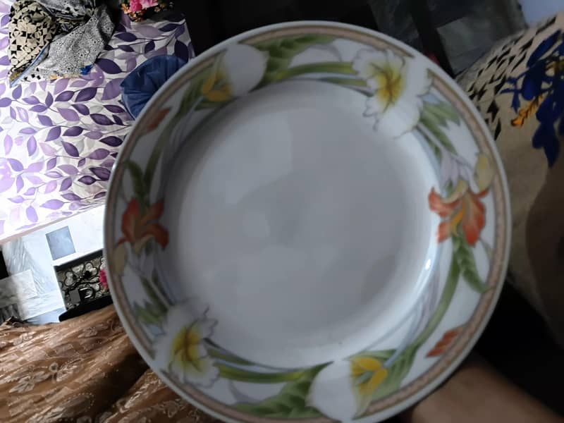 Dining Plates. Large size 3