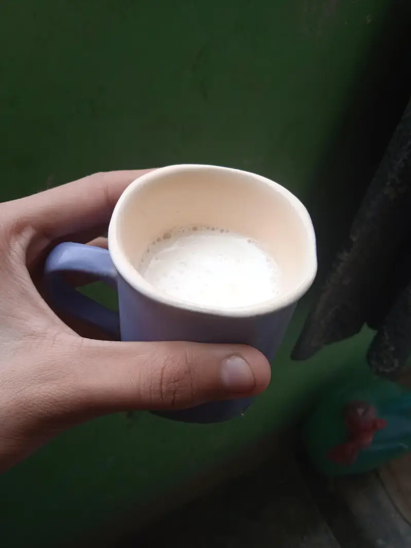 doodh wali bakri for sale — photo 5
