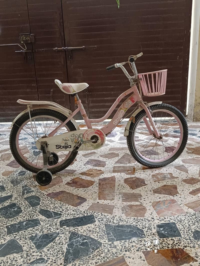 cycle 0