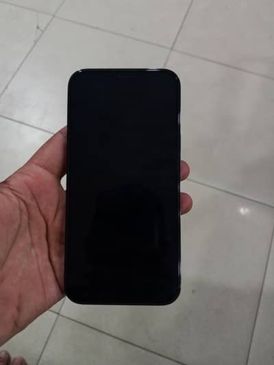 Apple iPhone 12 Pro Max