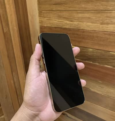 Iphone 12 Pro Max Pta Approved