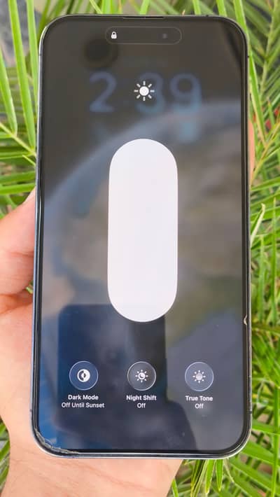 iPhone 14 ProMax