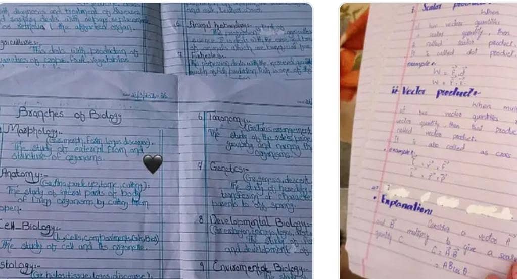 Assignment writing 0