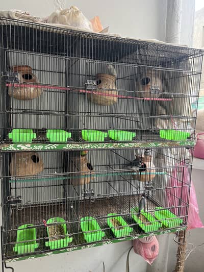 Birds cage for sale branded Master Cage