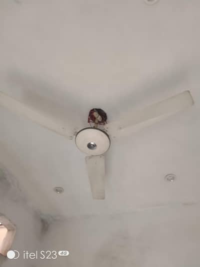 ceiling fan 56