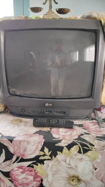 LG 22 inch TV