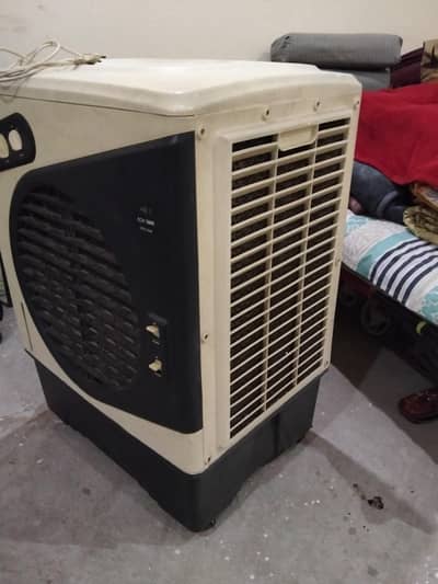 Ali cooler