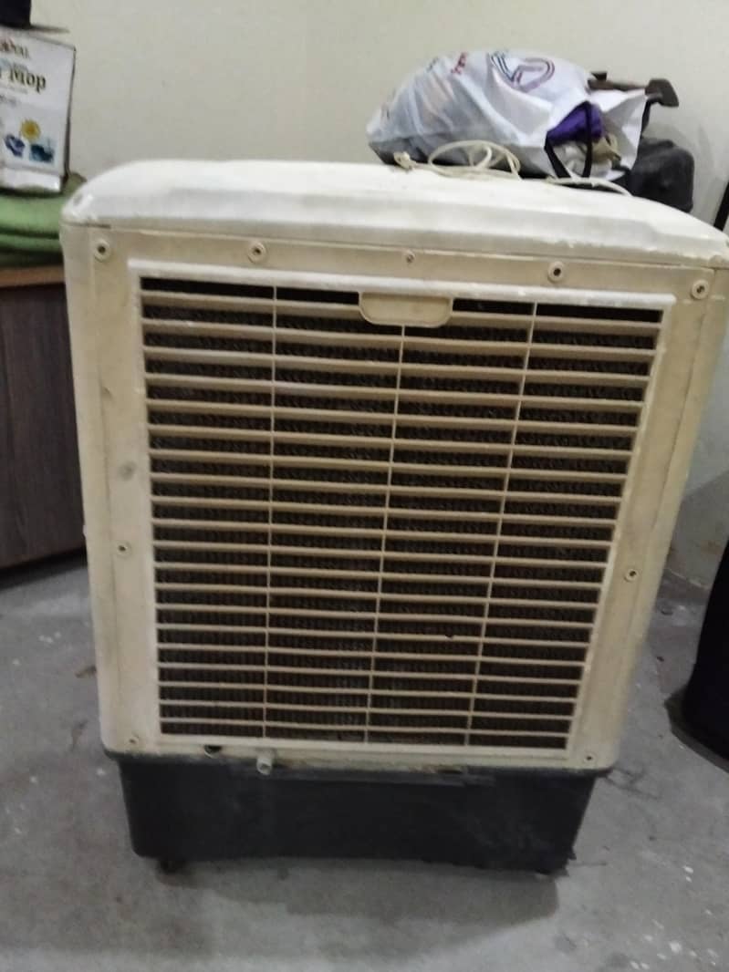 Ali cooler 1