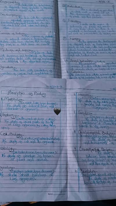 Handwritten Assignments - Neat Writing - All Subjects
