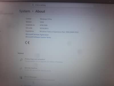 hp laptop