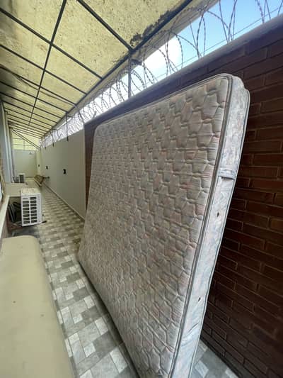 Molty foam / mattress