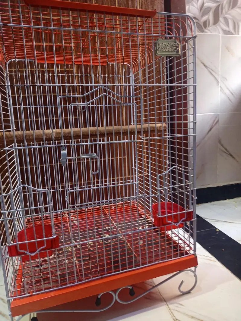 cockatoo / grey/ raw parrots cage — photo 2
