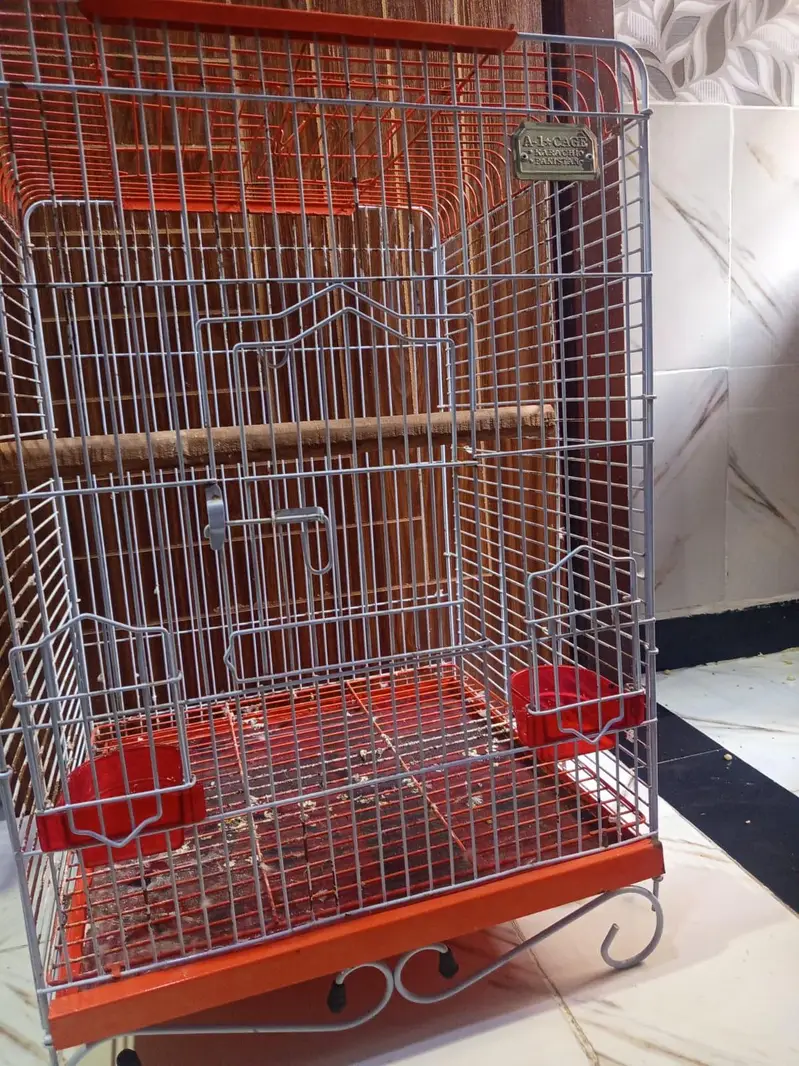 cockatoo / grey/ raw parrots cage — photo 3
