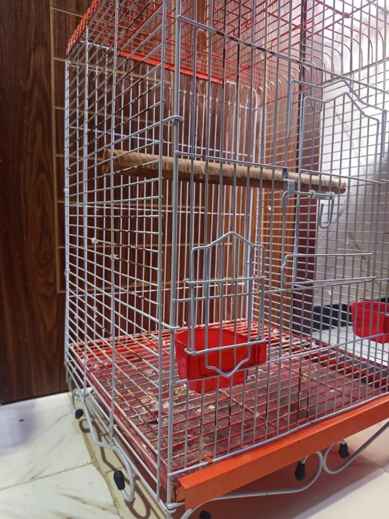 cockatoo / grey/ raw parrots cage — photo 4