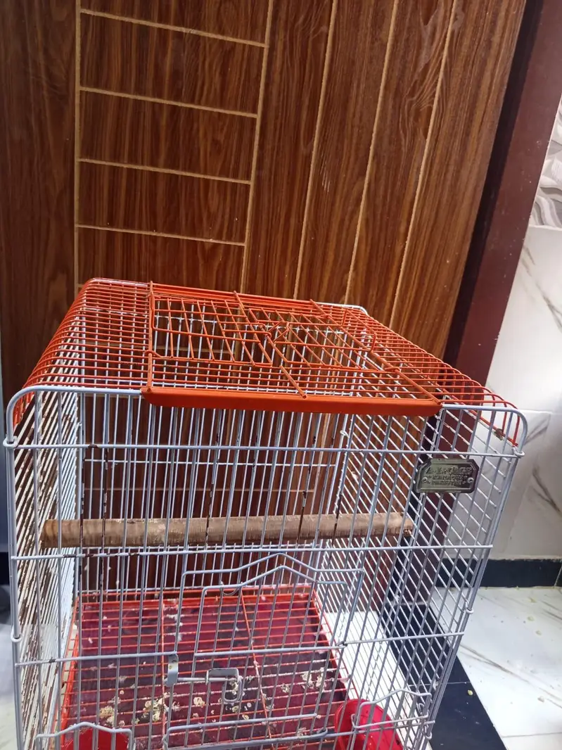 cockatoo / grey/ raw parrots cage — photo 5