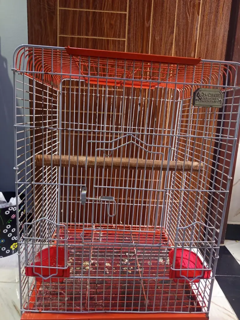 cockatoo / grey/ raw parrots cage — photo 8