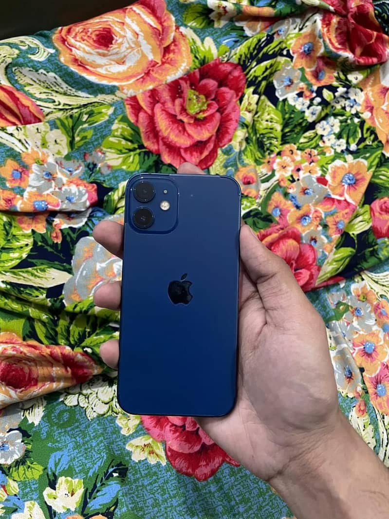 Apple iPhone 12 mini 0