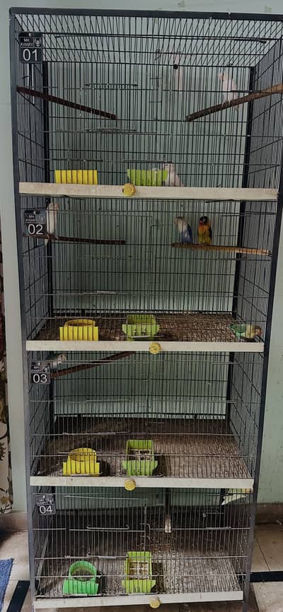 Birds cage for sale