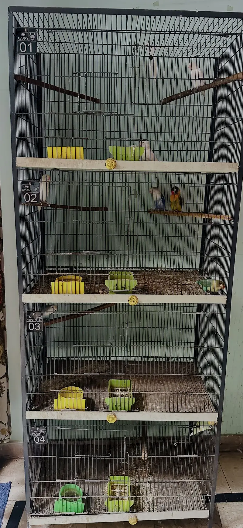 Birds cage for sale