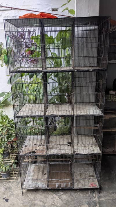 Cage for sale