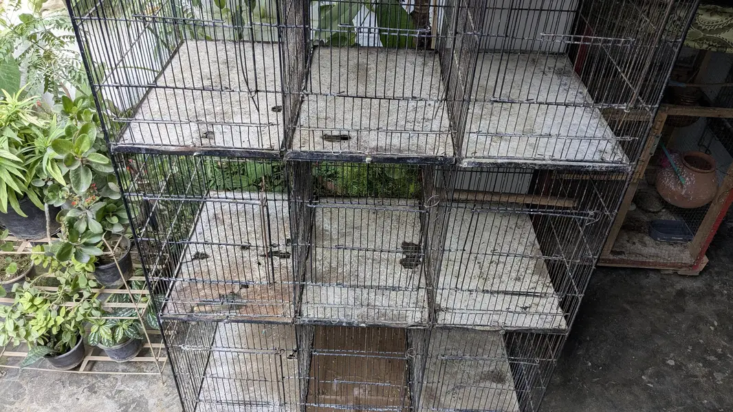 Cage for sale — photo 2