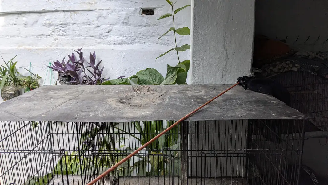 Cage for sale — photo 4