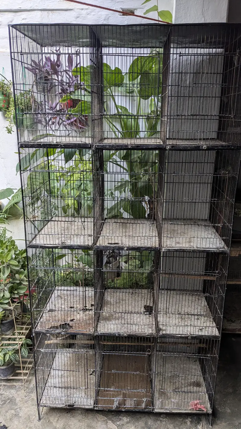 Cage for sale — photo 5