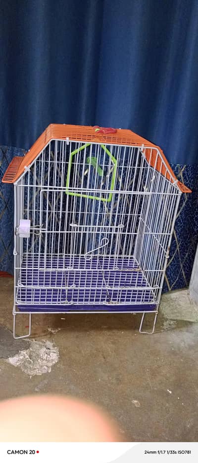 cage for birds for sale