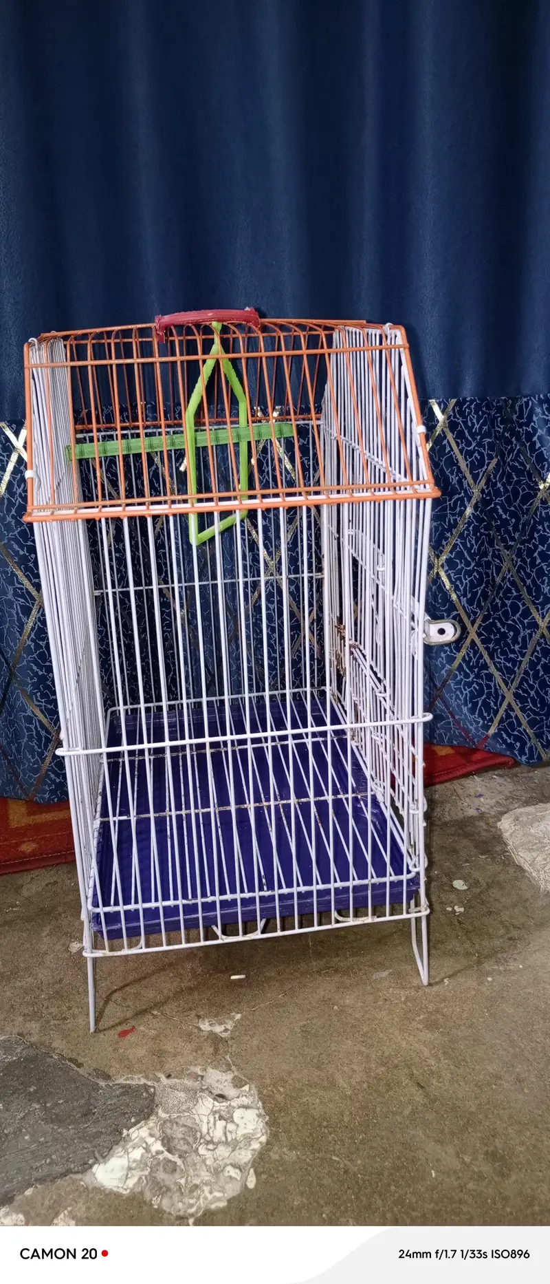 cage for birds for sale — photo 3