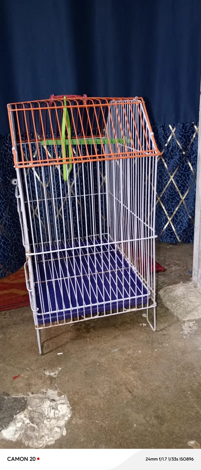cage for birds for sale — photo 4