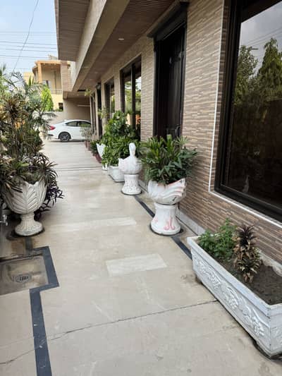 Concrete Gamlay / plant pots / planters with ready and healthy Plants.