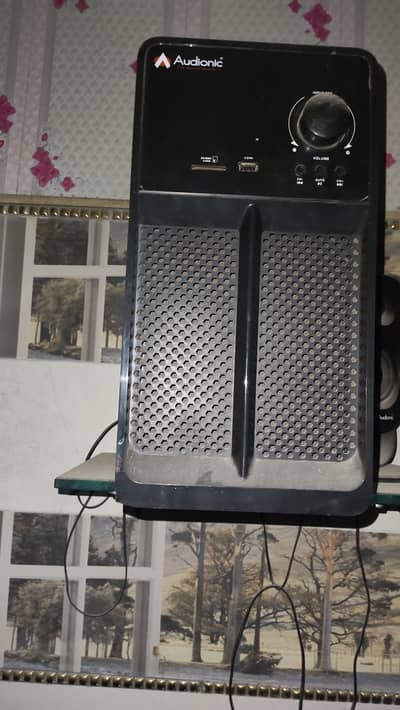 Audionic sound system