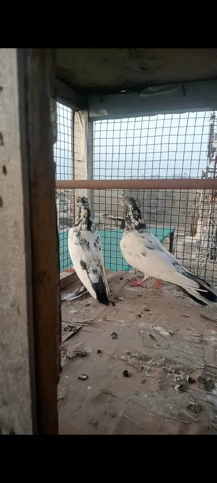 sub Alag Alag price ke Hain