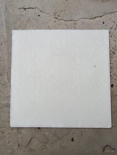 Roof Ceiling