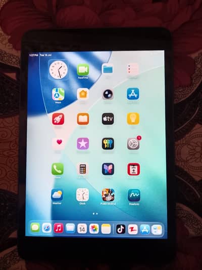 Ipad Mini 5
