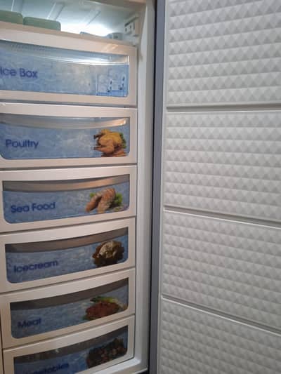 Vertical Freezer