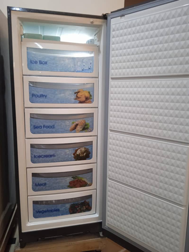 Vertical Freezer 1