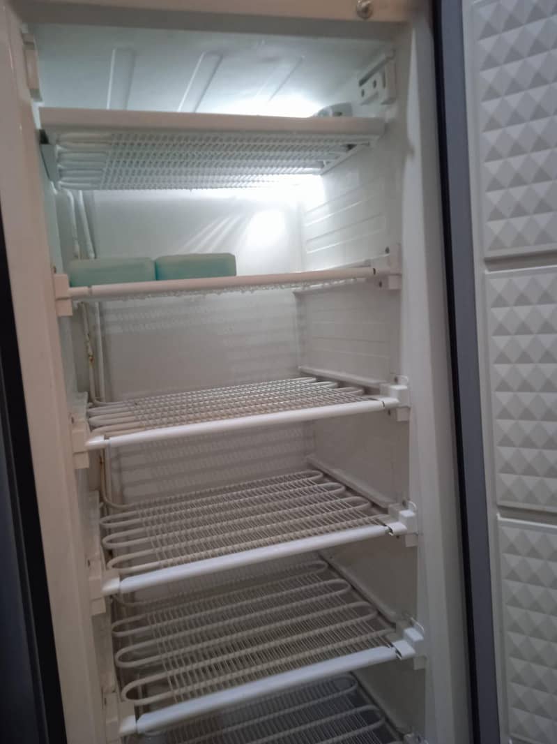 Vertical Freezer 3