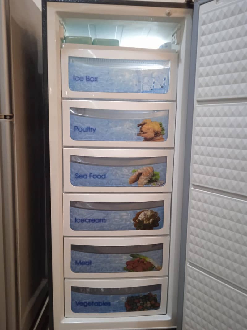 Vertical Freezer 4