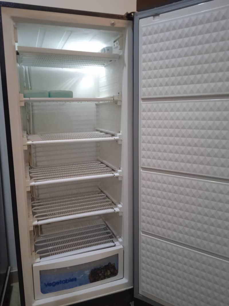 Vertical Freezer 5
