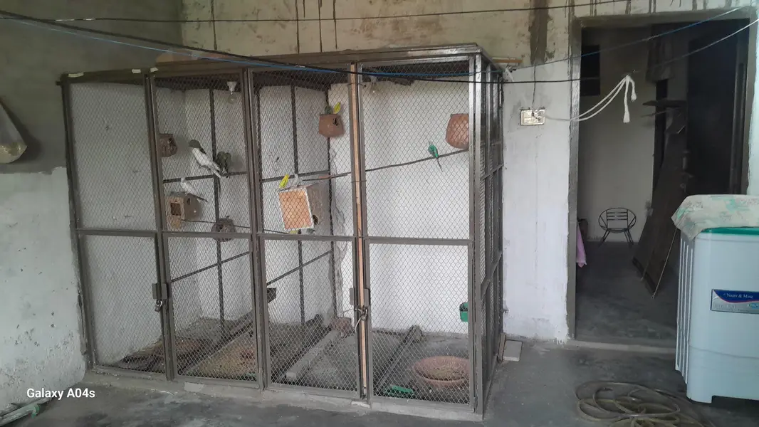 2 cages for sale — photo 2