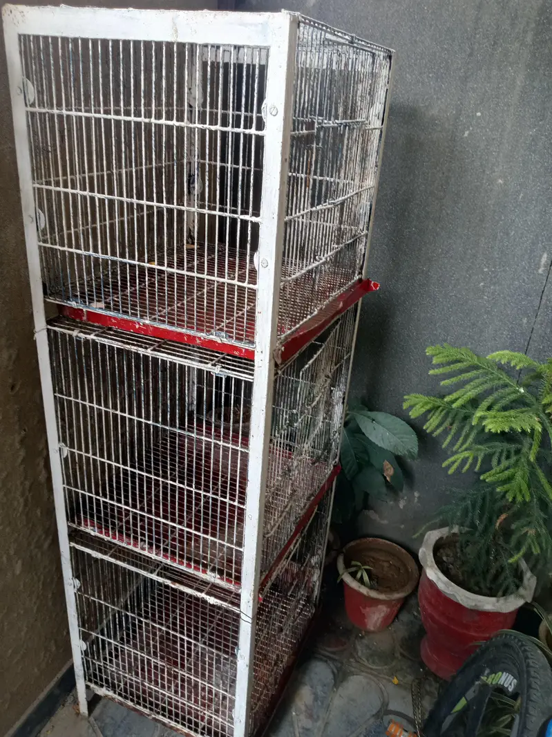 cage(pinjara) — photo 2