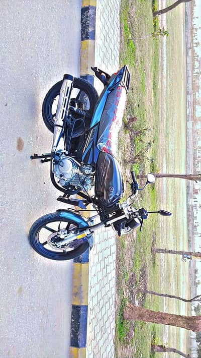 Ybz-DX 125