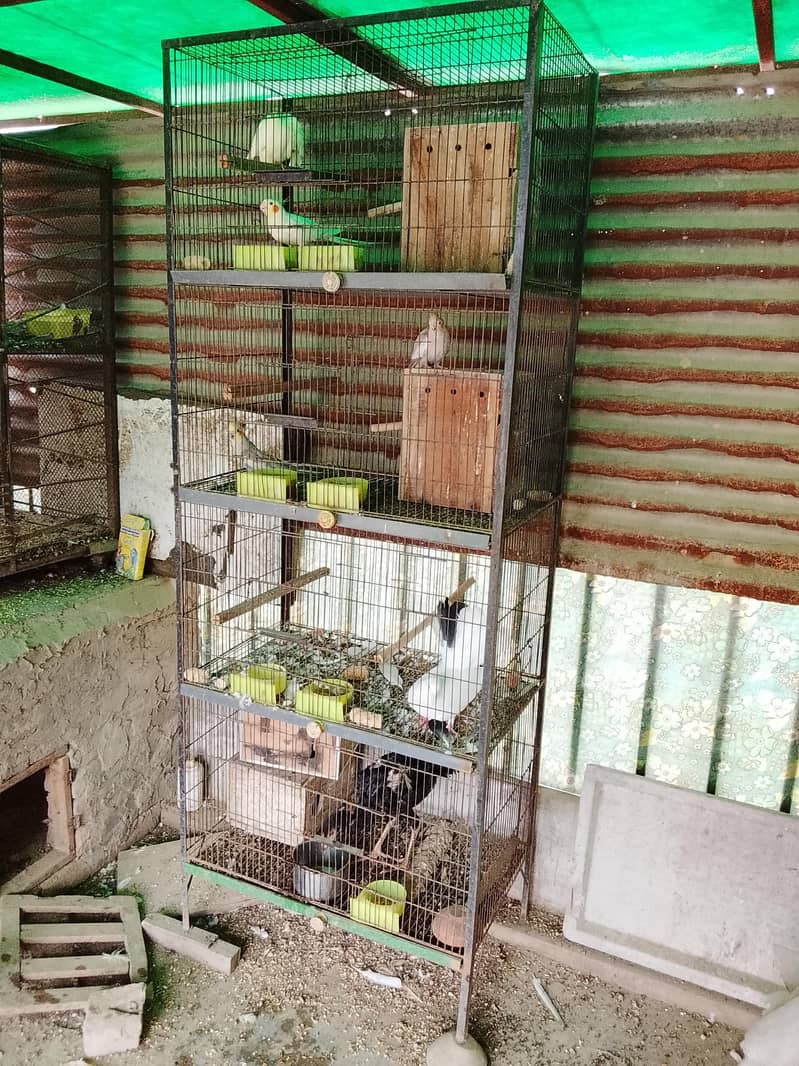 4 pushan cage 03128620202 0