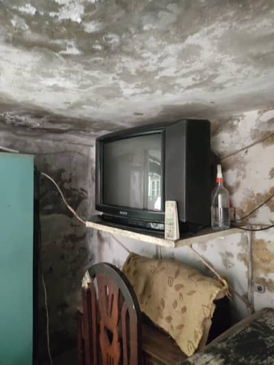 Sony Tv