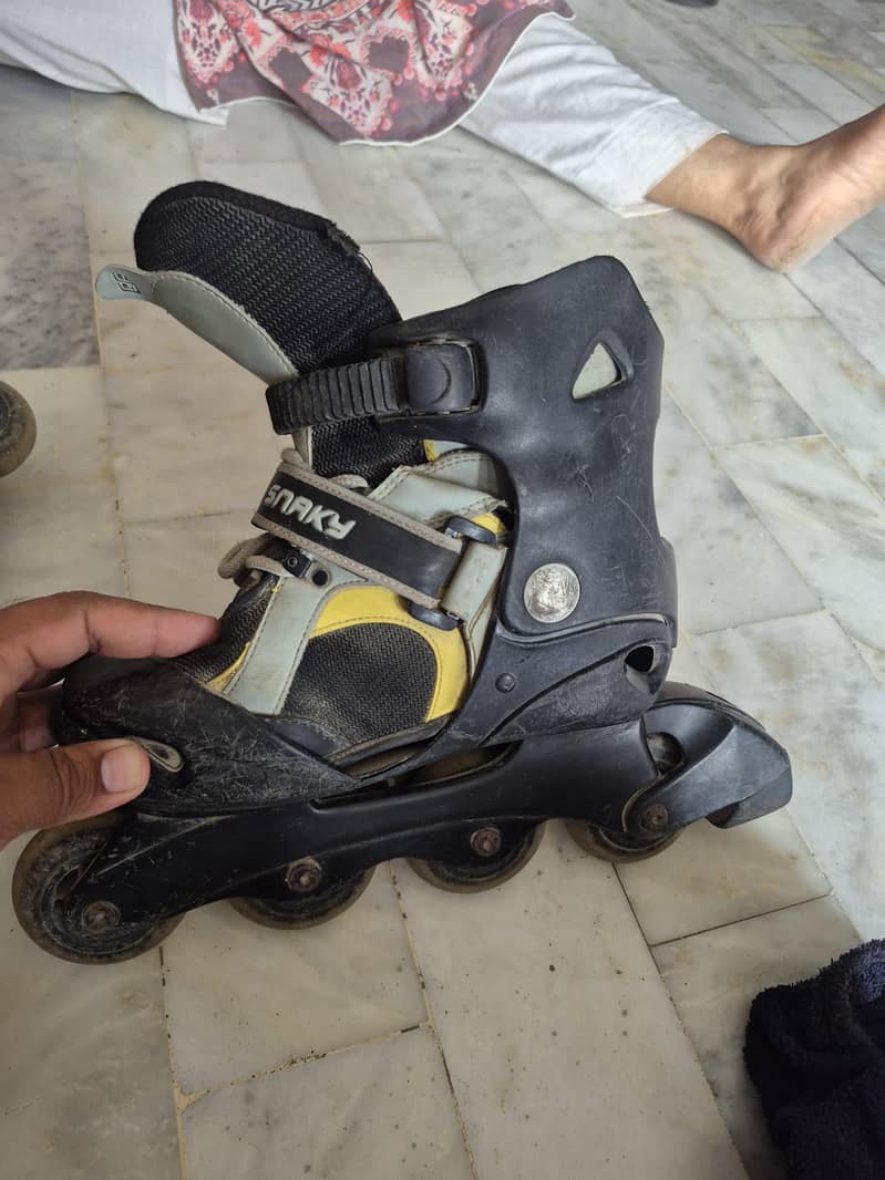 skates 3