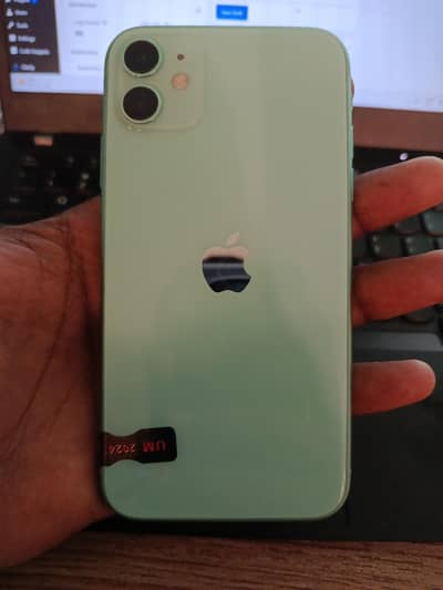 iPhone 11 - 128GB (Green) - With Charger & Case