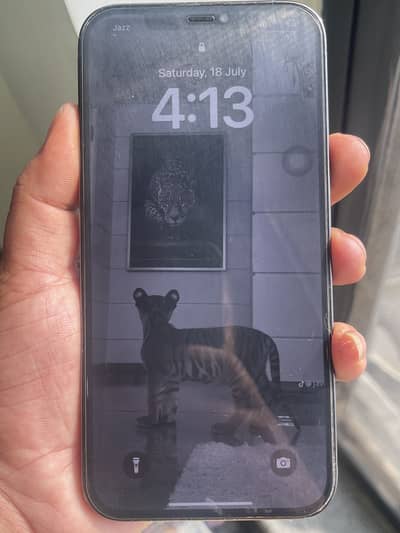 Apple iPhone 12 Pro Max PTA Approved 128Gb
